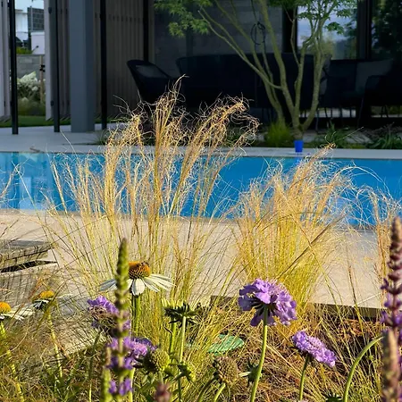 Paradisio Poolsuite Sundeck In Am Bodensee Bodman-Ludwigshafen