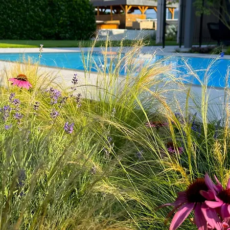 Paradisio Poolsuite Sundeck In Am Bodensee Bodman-Ludwigshafen