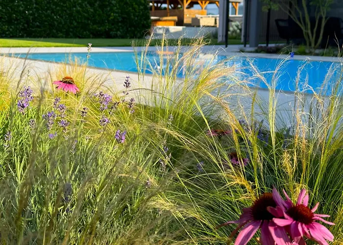 Paradisio Poolsuite Sundeck In Am Bodensee Bodman-Ludwigshafen